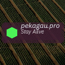 pekagau.pro